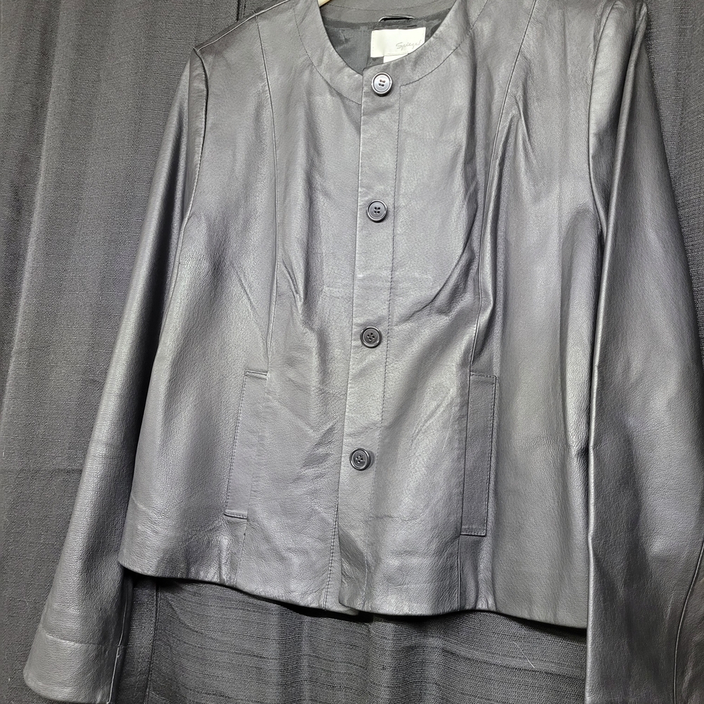Spiegel Gray Leather Jacket with Stand-Up Collar